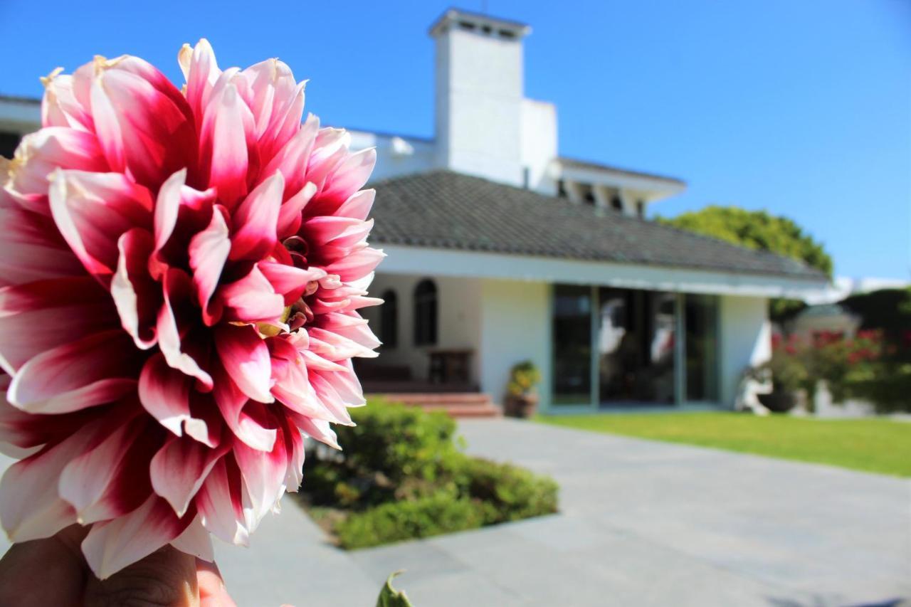 Santo Refugio Heritage Hotel San Pedro Cholula Exteriér fotografie
